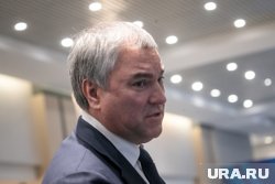 Володин заявил, что России не нужны новые граждане с потребительской позицией