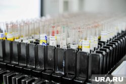Лекарства для лечения рака крови находятся на финальной стадии, заявил Мишустин