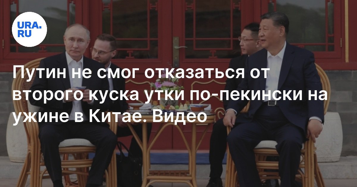 За мамой хвостиком: прогулку дикой утки с птенцом сняли на видео жители Степановки