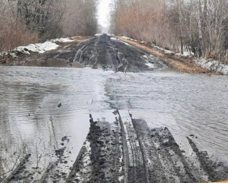 Разлив реки Крутишка отрезал деревню в Белозерском округе Курганской области