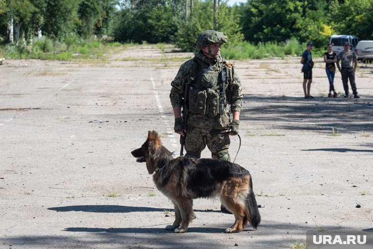Военная группа будет определять параметры возможного прекращения огня