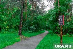Новый ЖК появится через дорогу от парка