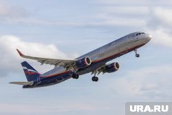«Аэрофлот» сократила внутренние перевозки на фоне роста международных