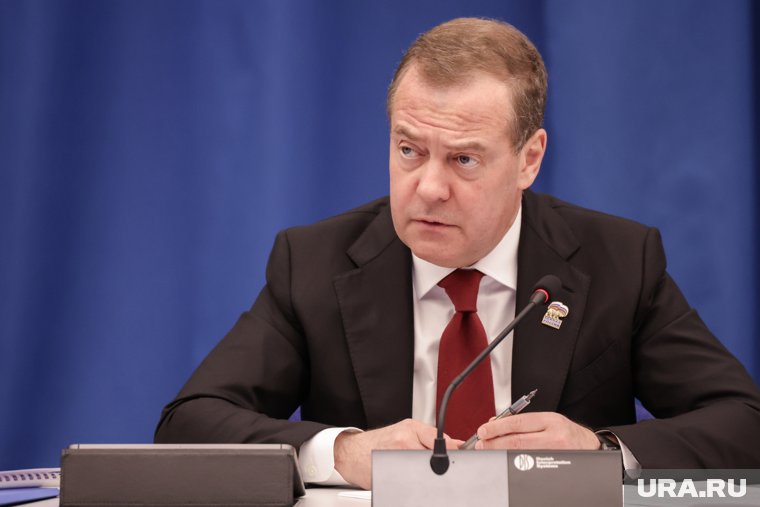 Медведев заявил, что признание АдГ угрозой демократии является сильным утверждением для парламентской партии