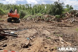 На месте снесенных домов в Кургане начали делать прогулочную зону