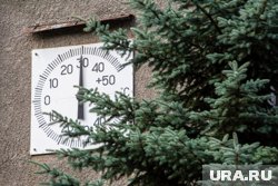 Конец весны будет аномально теплым в Центральной России, рассказал синоптик