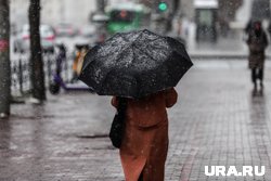 В Шадринске будет сильный ветер и возможен снег с дождем