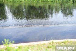 Обстоятельства гибели женщины выясняет Следком