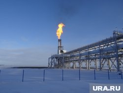 Крупнейшие месторождения природного газа сконцентрированы на Ямале 