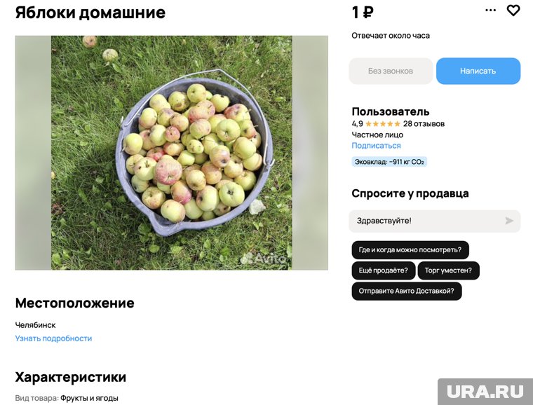 Такой урожай отдают для компота либо варенья