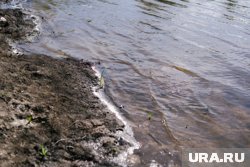 Следователи сейчас выясняют все обстоятельства происшествия