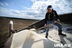 Россия в 2024 году заняла более 20% в мировом экспорте удобрений