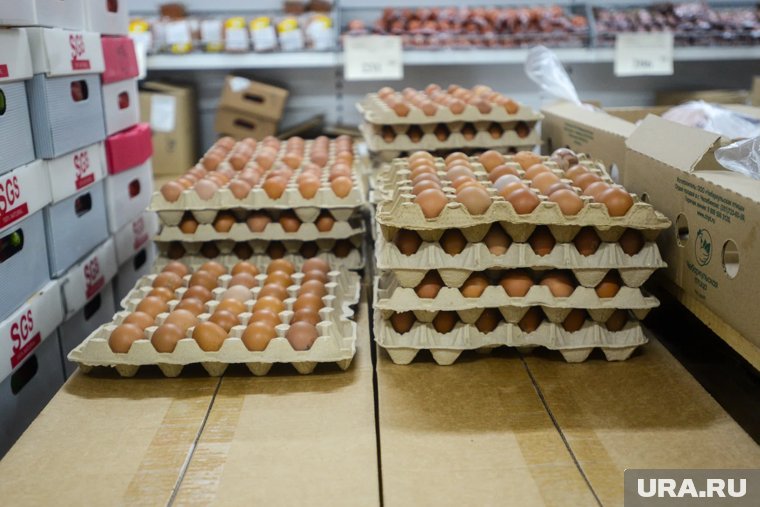 Цены на бензин и продукты в России продолжили расти