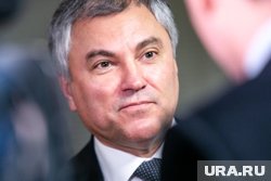 Володин заявил о новом законе