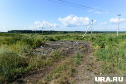 Если собственник не освоит земельный участок в течение трех лет, его могут изъять