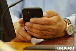 Курганские чиновники, политики и представители промышленности тестируют новый нацмессенджер