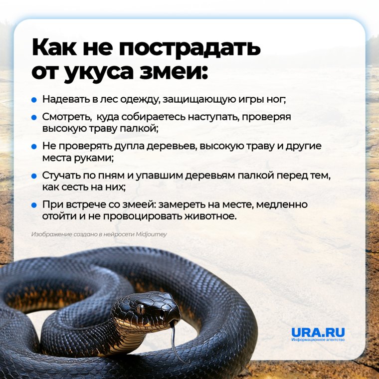 Главные правила поведения в лесу