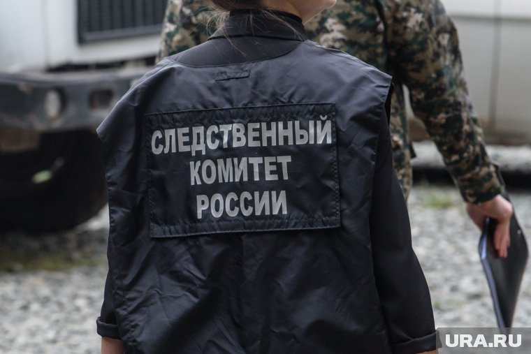 Ведомство проводит проверку