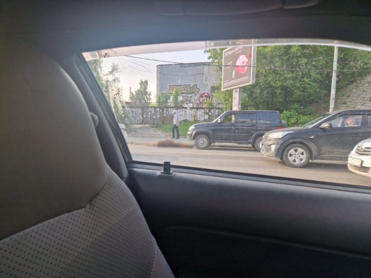 Тело лося