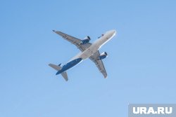 В двигатель самолета могла попасть птица