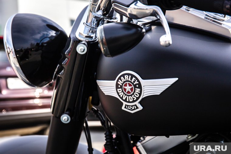 Югорские парламентарии заманивали актера Микки Рурка мотоциклом Harley Davidson в арктическую зону ХМАО