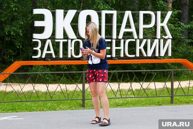 Координацию проекта возьмет на себя администрация города