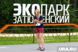 Координацию проекта возьмет на себя администрация города