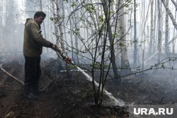 Природный пожар локализован