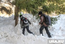 Курганцы спорят о необходимости бетонных блоков во дворах из-за безопасности детей