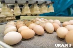 Цены на яйца снизились из-за увеличения объемов выпуска птицефабриками