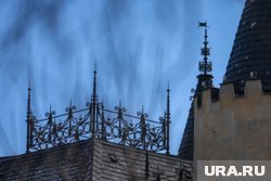 На стенах замка появился слой плесени