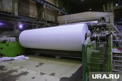 Компания перекрывает своей продукцией треть потребностей отечественного рынка