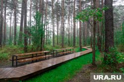 В парке обустроили армейские палатки и зоны отдыха с очагом