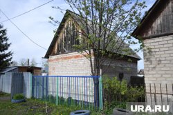 Краснокнижные деревья нельзя рубить даже собственникам участков