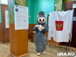 Избиратель в Чесменском районе проголосовал в образе Лабубу
