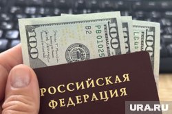 Челябинке вернут сумму после уплаты штрафа и декларации валюты