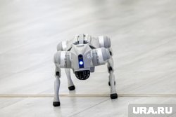 В ЮУрГУ рассчитали движение для робота, которому к четырем ногам добавили еще две 