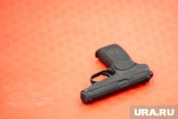 Мужчина осужден на четыре года и шесть месяцев 