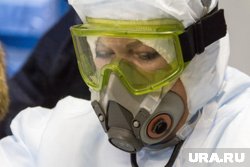 Специалисты смогут выявить заразившихся чикунгуньей уже на границе
