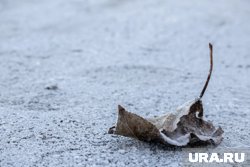 Первые серьезные похолодания будут ночью 12-13 сентября
