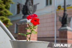Нарушение было выявлено 13 мая в многостороннем автомобильном пункте пропуска «Петухово»