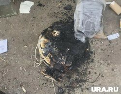 Пылесос загорелся, находясь в режиме ожидания