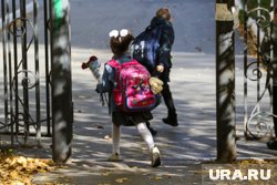 В школах контрольные работы будут занимать не более 10% учебного времени
