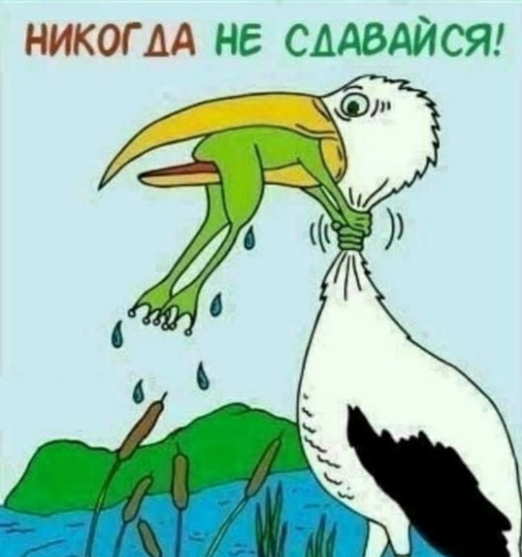Депутат Кафеев признался, что любит жизнеутверждающие мемы