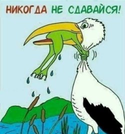 Депутат Кафеев признался, что любит жизнеутверждающие мемы