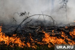 Работы будут завершены до 2028 года 