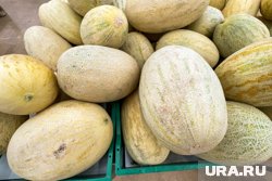 Дыни вернулись в Казахстан отправителю груза 