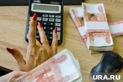 В компании за год снизилась выручка, но увеличилась прибыль