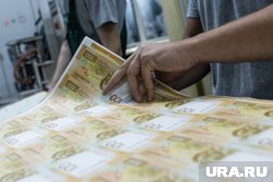  В России инфляция с 29 апреля по 5 мая 2025 года составила 0,03% 
