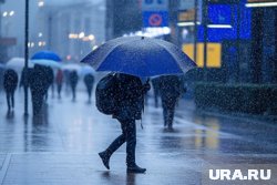 О непогоде в регионе предупредили в МЧС